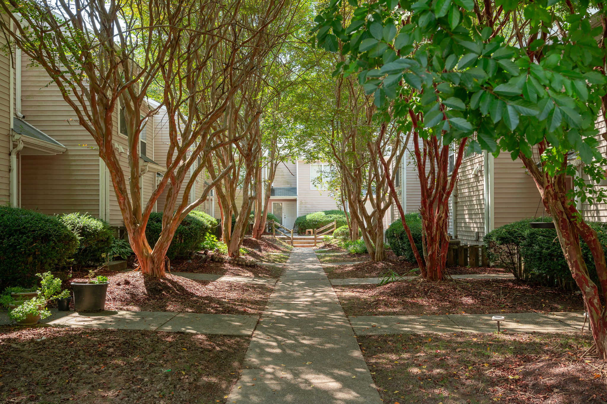 3 Bed, 2 Bathroom, Central Williamsburg! 