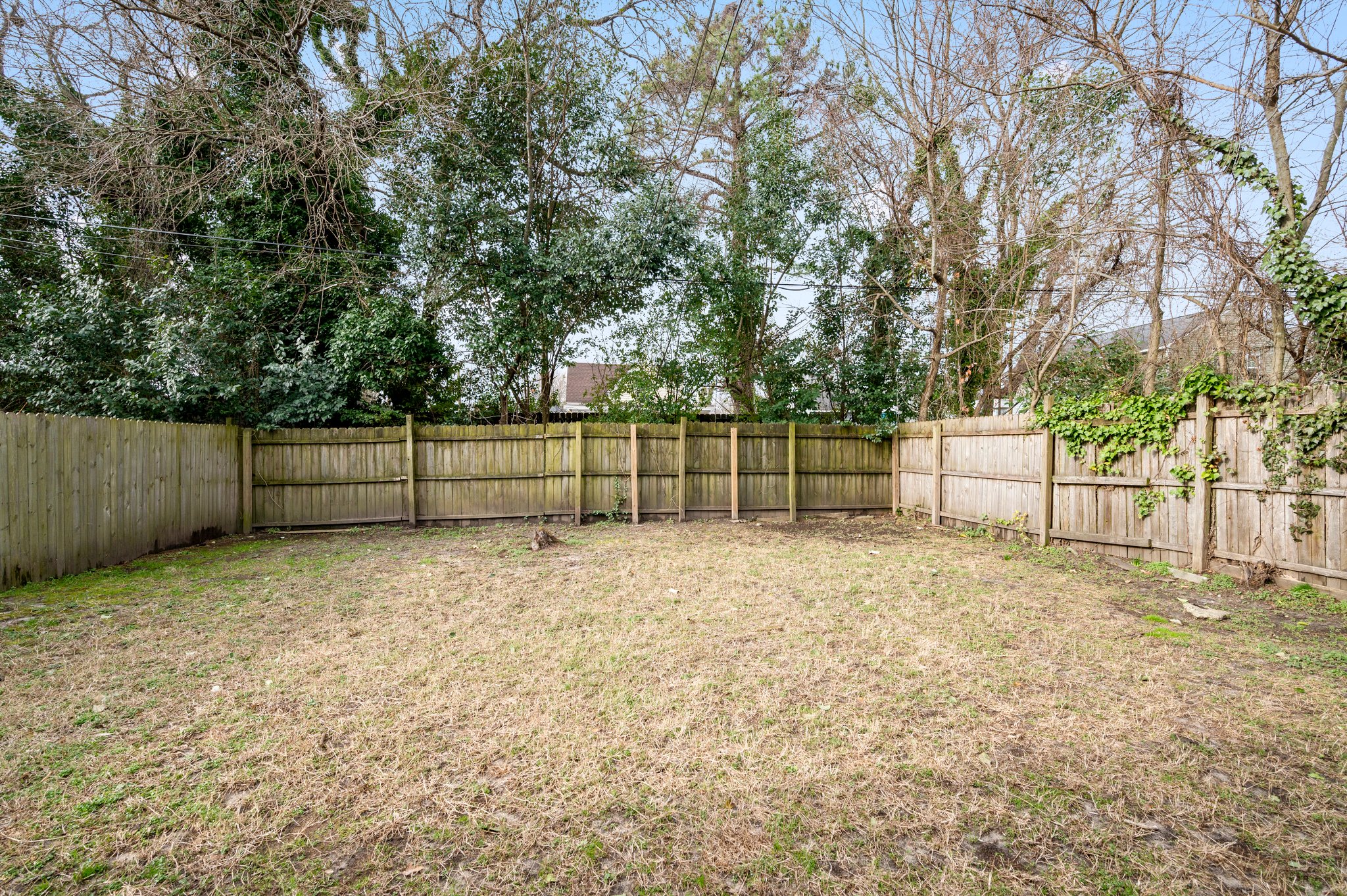 Spacious fenced backyard with grass and tall trees.